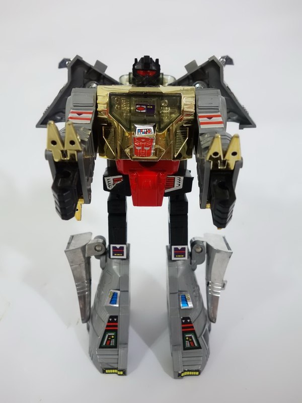 Tranformers Age Of Extinction Platinum Edition Grimlock Dinobot Pictorial Review  (10 of 27)